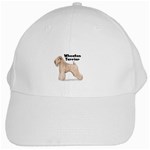 Wheaten Terrier White Cap