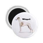 Whippet 2.25  Magnet