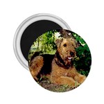 Airedale Terrier 2.25  Magnet