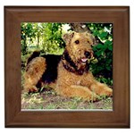 Airedale Terrier Framed Tile