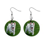 American Eskimo 1  Button Earrings