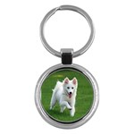 American Eskimo Key Chain (Round)