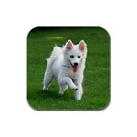 American Eskimo Rubber Square Coaster (4 pack)