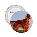 Irish Setter 2.25  Button