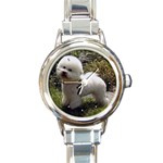 Bichon Frise Round Italian Charm Watch