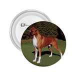 Boxer 2.25  Button