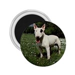 Bull Terrier 2.25  Magnet