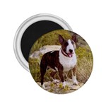 Bull Terrier 2.25  Magnet