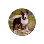 Bull Terrier Rubber Round Coaster (4 pack)