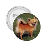 Chihuahua 2.25  Button