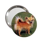 Chihuahua 2.25  Handbag Mirror