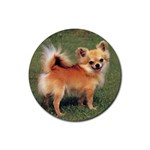 Chihuahua Rubber Round Coaster (4 pack)