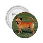 Chihuahua 2.25  Button