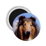 Collie 2.25  Magnet