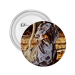 Dachshund 2.25  Button