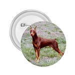 Doberman Pinscher 2.25  Button