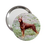 Doberman Pinscher 2.25  Handbag Mirror