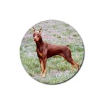 Doberman Pinscher Rubber Round Coaster (4 pack)