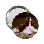 English Springer Spaniel 2.25  Handbag Mirror