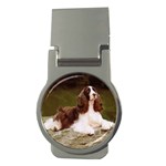 English Springer Spaniel Money Clip (Round)