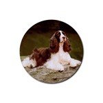 English Springer Spaniel Rubber Round Coaster (4 pack)