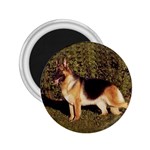 German Shepherd 2.25  Magnet