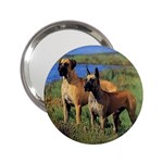 Great Dane 2.25  Handbag Mirror