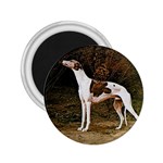 Greyhound 2.25  Magnet