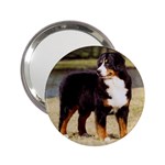 Bernese Mountain Dog 2.25  Handbag Mirror