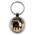 Bernese Mountain Dog Key Chain (Round)