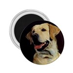 Labrador Retriever Lab 2.25  Magnet