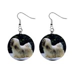 Lhasa Apso 1  Button Earrings