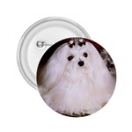 Maltese 2.25  Button