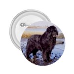 Newfoundland 2.25  Button