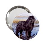 Newfoundland 2.25  Handbag Mirror