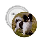 Papillon 2.25  Button