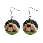 Pekingese 1  Button Earrings