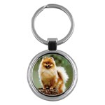 Pomeranian Key Chain (Round)