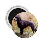 Portuguese Water Dog 2.25  Magnet