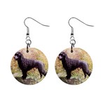 Portuguese Water Dog 1  Button Earrings