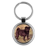 Pug Key Chain (Round)