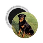 Rottweiler 2.25  Magnet