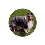 Shetland Sheepdog Sheltie Rubber Round Coaster (4 pack)