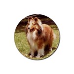 Shetland Sheepdog Sheltie Rubber Round Coaster (4 pack)