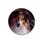 Shetland Sheepdog Sheltie Rubber Round Coaster (4 pack)