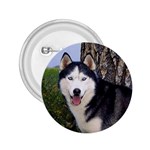 Siberian Husky 2.25  Button