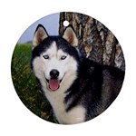 Siberian Husky Ornament (Round)