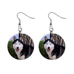 Siberian Husky 1  Button Earrings