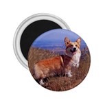 Welsh Corgi Cardigan 2.25  Magnet