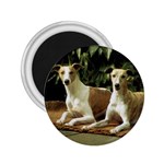 Whippet 2.25  Magnet